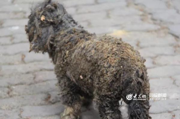 突發!青島一居民樓發生爆燃!已造1人死亡,7人受傷!3公里外有震感… 突發!青島一居民樓發生爆燃!已造1人死亡,7人受傷!3公里外有震感…