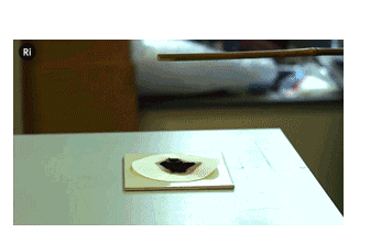 1607580025129845.png image.png